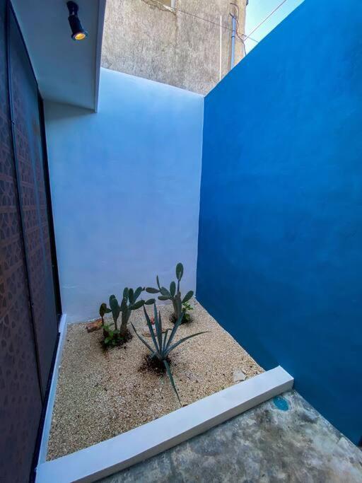 Modern Casa With Pool 7 Mins From Centro 5Min La Plancha Park Vila Mérida Exterior foto