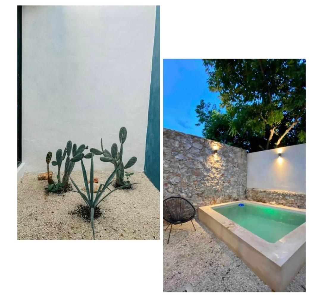 Modern Casa With Pool 7 Mins From Centro 5Min La Plancha Park Vila Mérida Exterior foto
